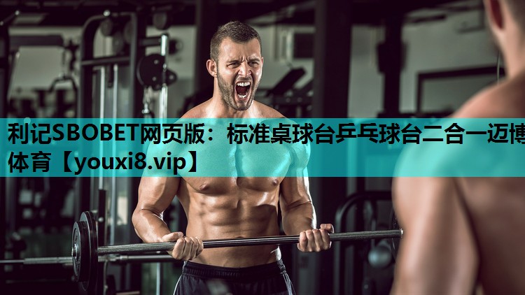 利记SBOBET网页版：标准桌球台乒乓球台二合一迈博体育