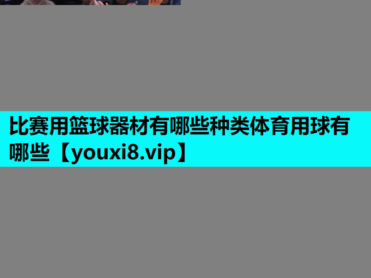 比赛用篮球器材有哪些种类体育用球有哪些