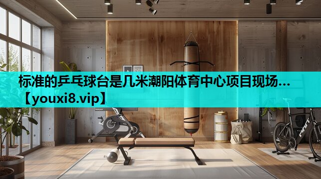 标准的乒乓球台是几米潮阳体育中心项目现场…