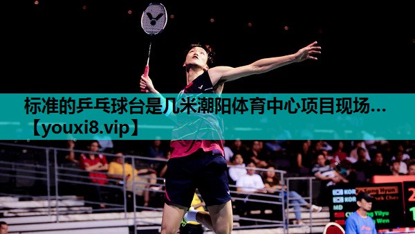 标准的乒乓球台是几米潮阳体育中心项目现场…