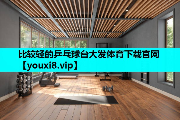 比较轻的乒乓球台大发体育下载官网