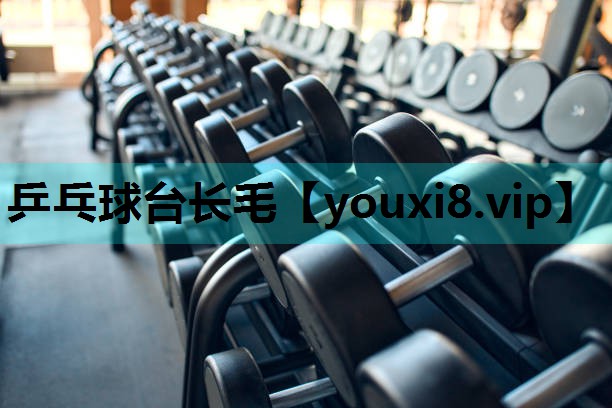 乒乓球台长毛