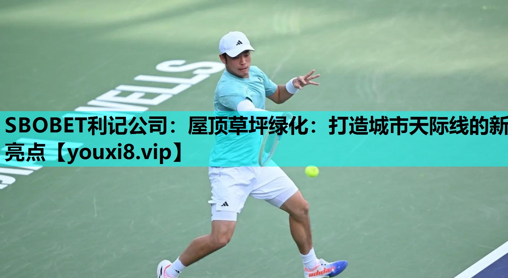 SBOBET利记公司：屋顶草坪绿化：打造城市天际线的新亮点