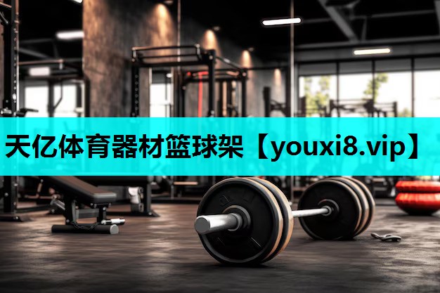 天亿体育器材篮球架