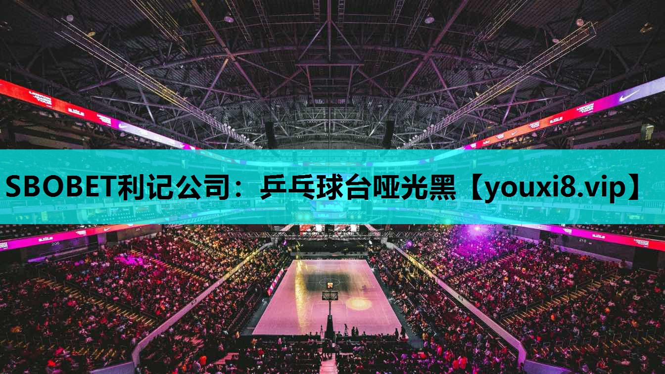 SBOBET利记公司：乒乓球台哑光黑