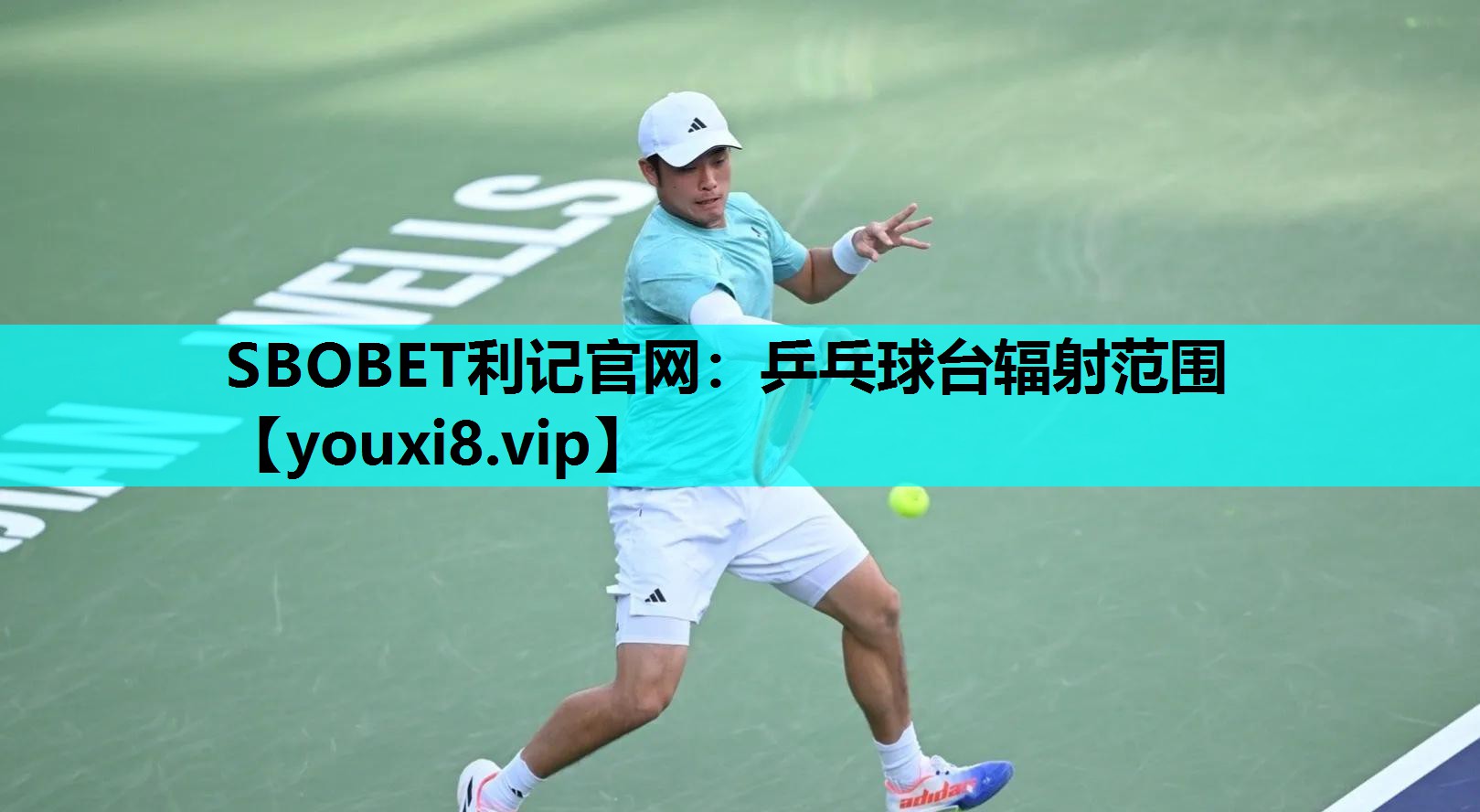 SBOBET利记官网：乒乓球台辐射范围