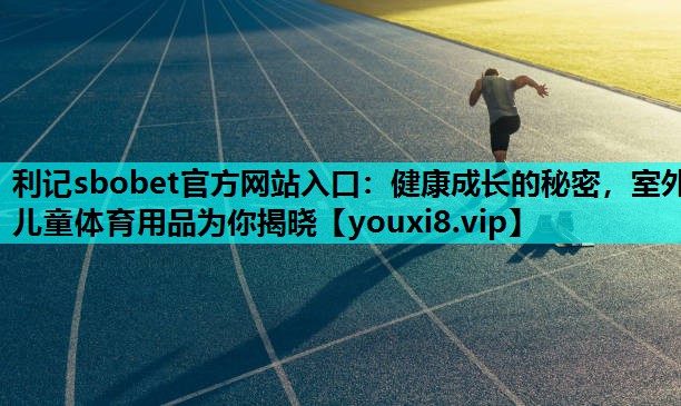 利记sbobet官方网站入口：健康成长的秘密，室外儿童体育用品为你揭晓