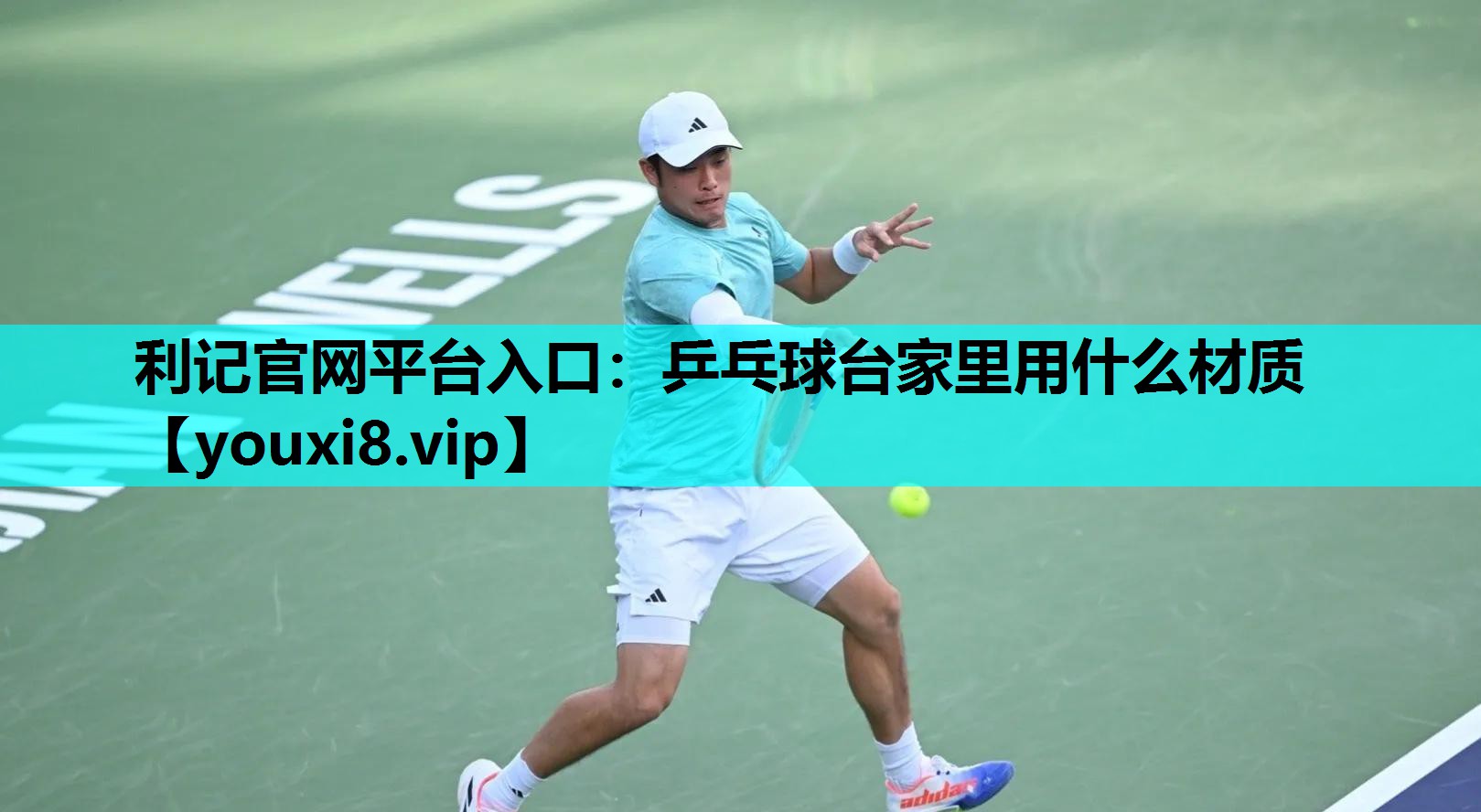 利记官网平台入口：乒乓球台家里用什么材质