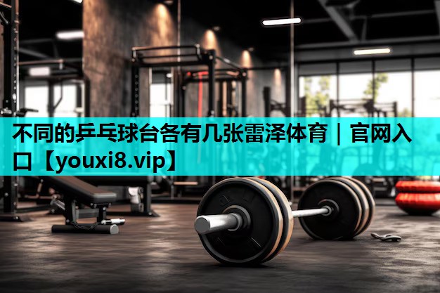 不同的乒乓球台各有几张雷泽体育｜官网入口