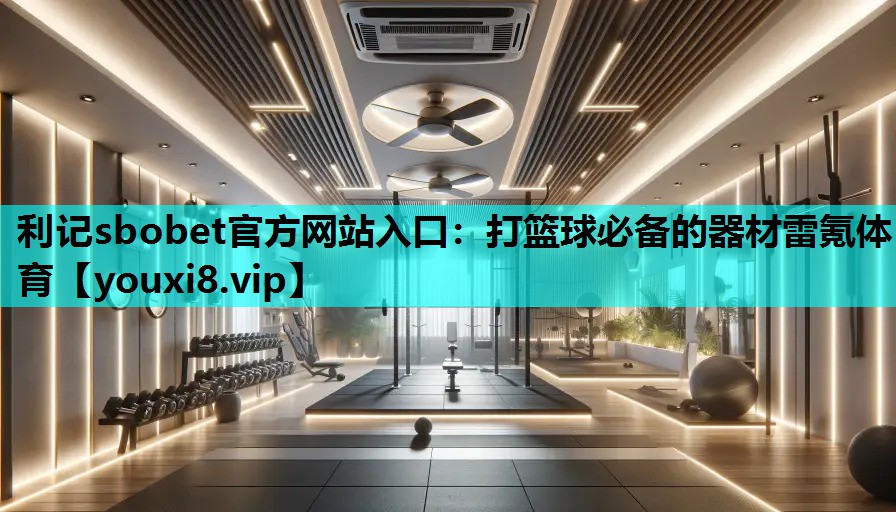 利记sbobet官方网站入口：打篮球必备的器材雷氪体育