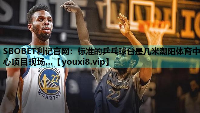 SBOBET利记官网：标准的乒乓球台是几米潮阳体育中心项目现场…