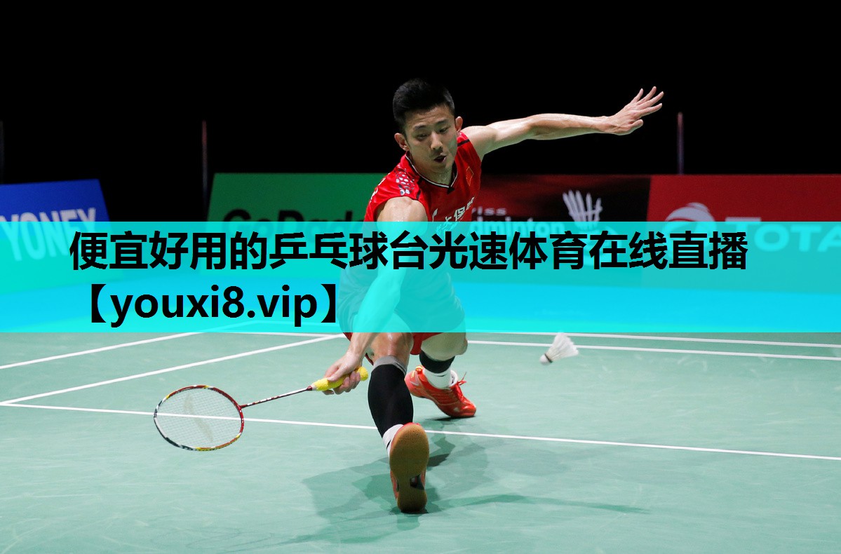 便宜好用的乒乓球台光速体育在线直播