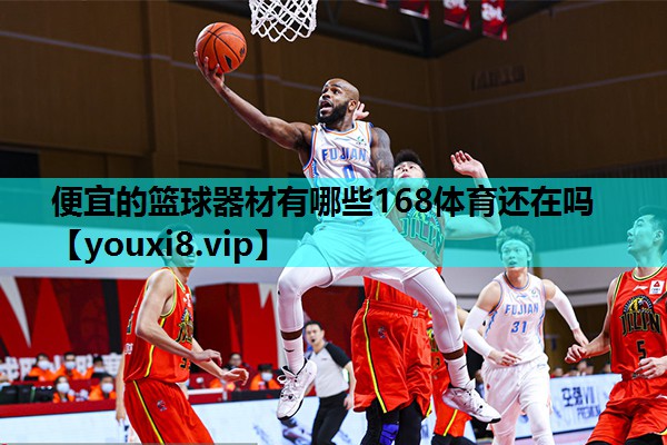 便宜的篮球器材有哪些168体育还在吗