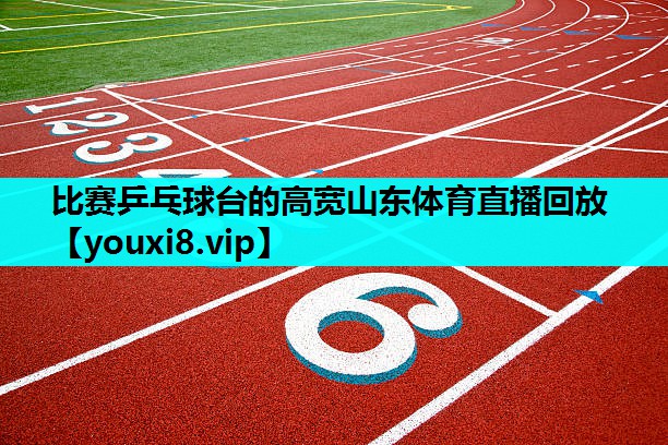 比赛乒乓球台的高宽山东体育直播回放