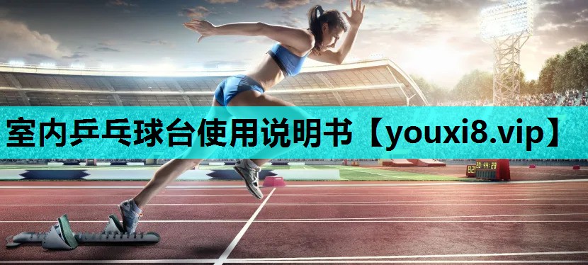 室内乒乓球台使用说明书