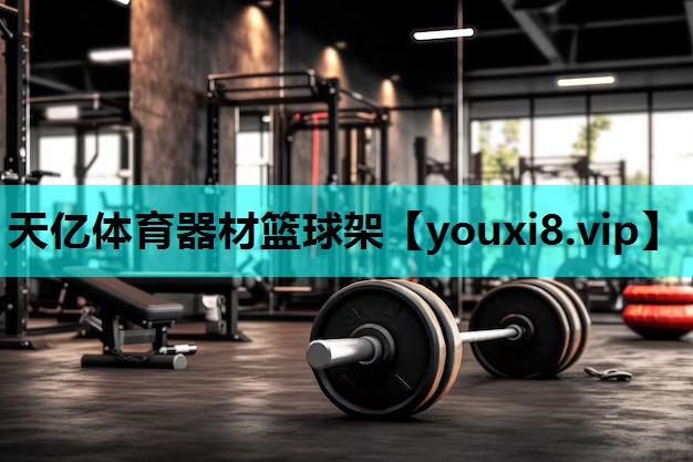 天亿体育器材篮球架