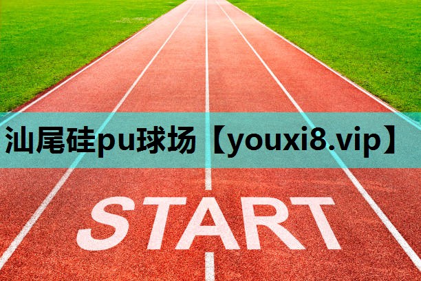 汕尾硅pu球场