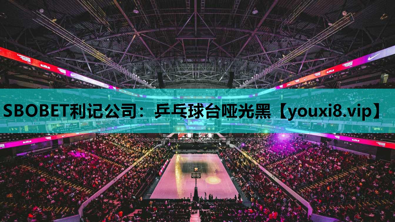 乒乓球台哑光黑