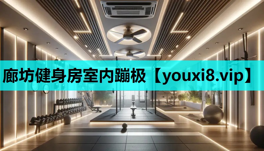 廊坊健身房室内蹦极