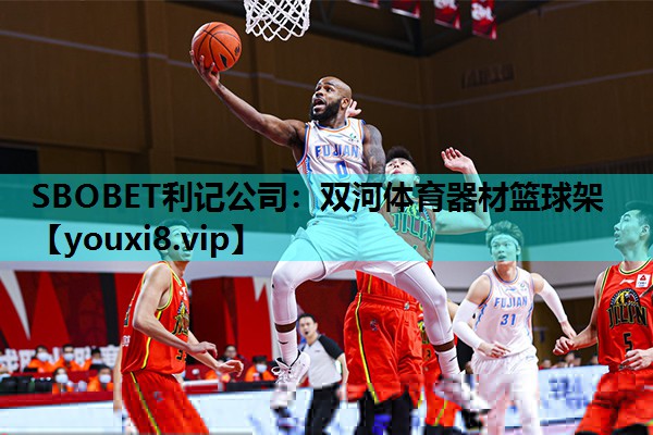双河体育器材篮球架