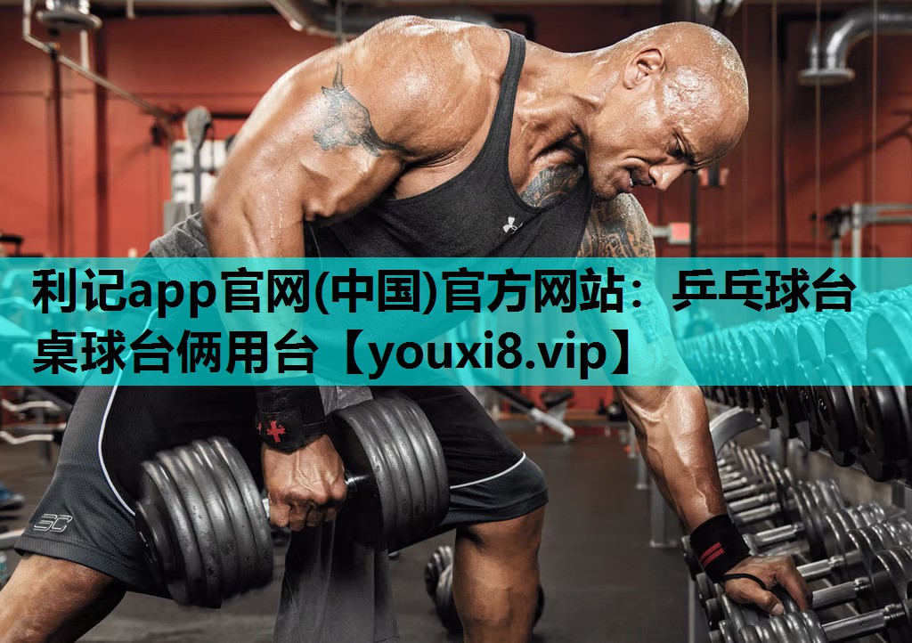 乒乓球台桌球台俩用台